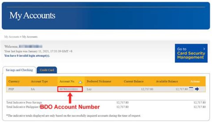 How do I find my BDO IBAN number?