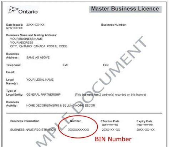 How do I find my bin details?