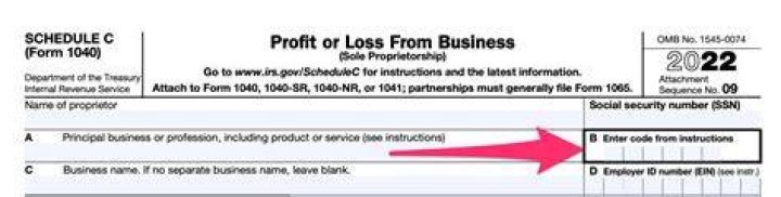 How do I find my Schedule C business code?