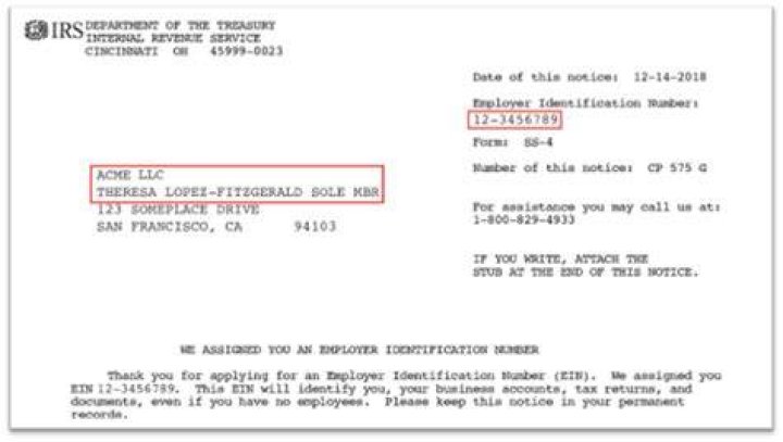 How do I find my TIN tax number?