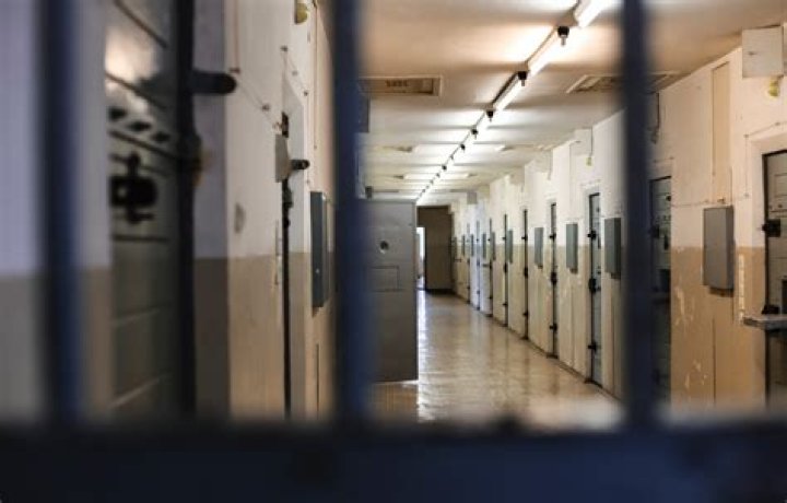 How do I find out if someone is in jail in Montana?