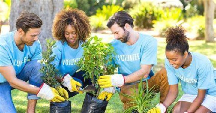 How do I find volunteer work in my area?