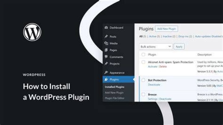 How do I install plugins?