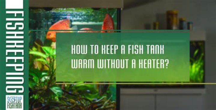 How do I keep my fish warm without a heater?