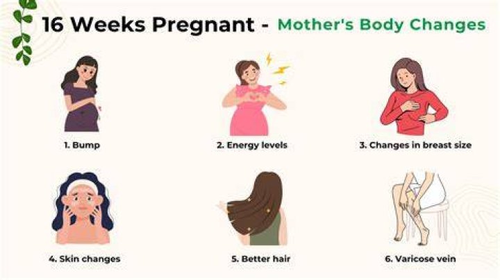 How do I know I am still pregnant at 16 weeks?