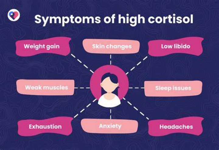 How do I know if I have high cortisol levels?