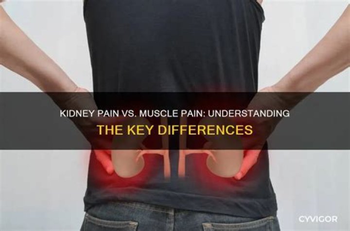 How do I know if it's muscle or kidney pain?