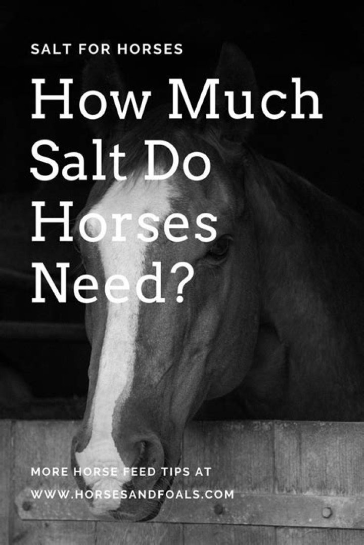How do I know if my horse needs salt?