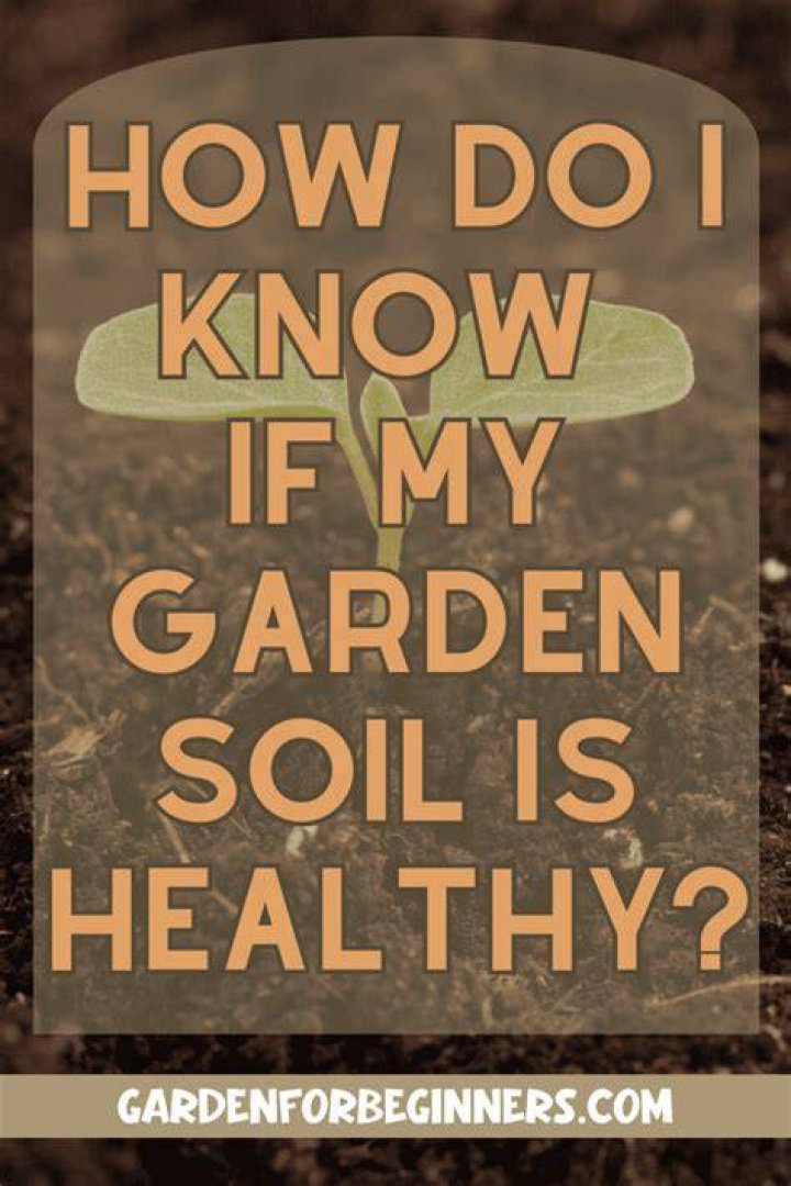 How do I know if my soil is dry?