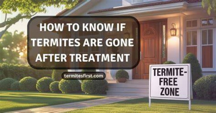 How do I know if termites are gone?