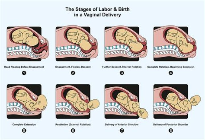 How do I know its normal delivery?