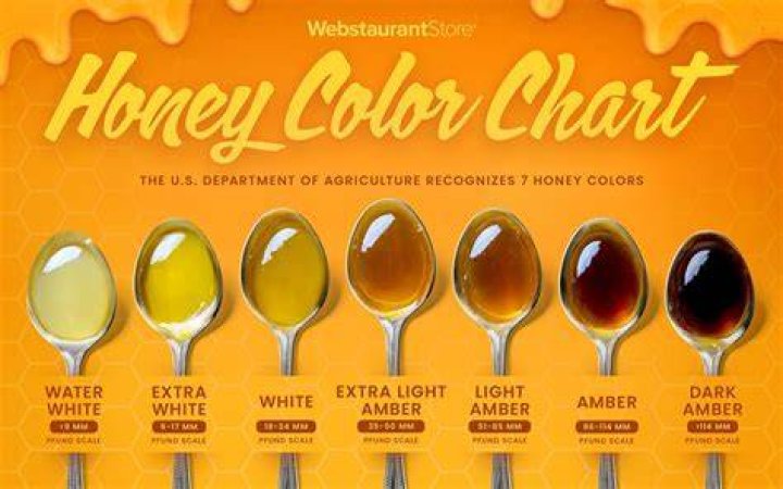 How do I know what type of honey I have?