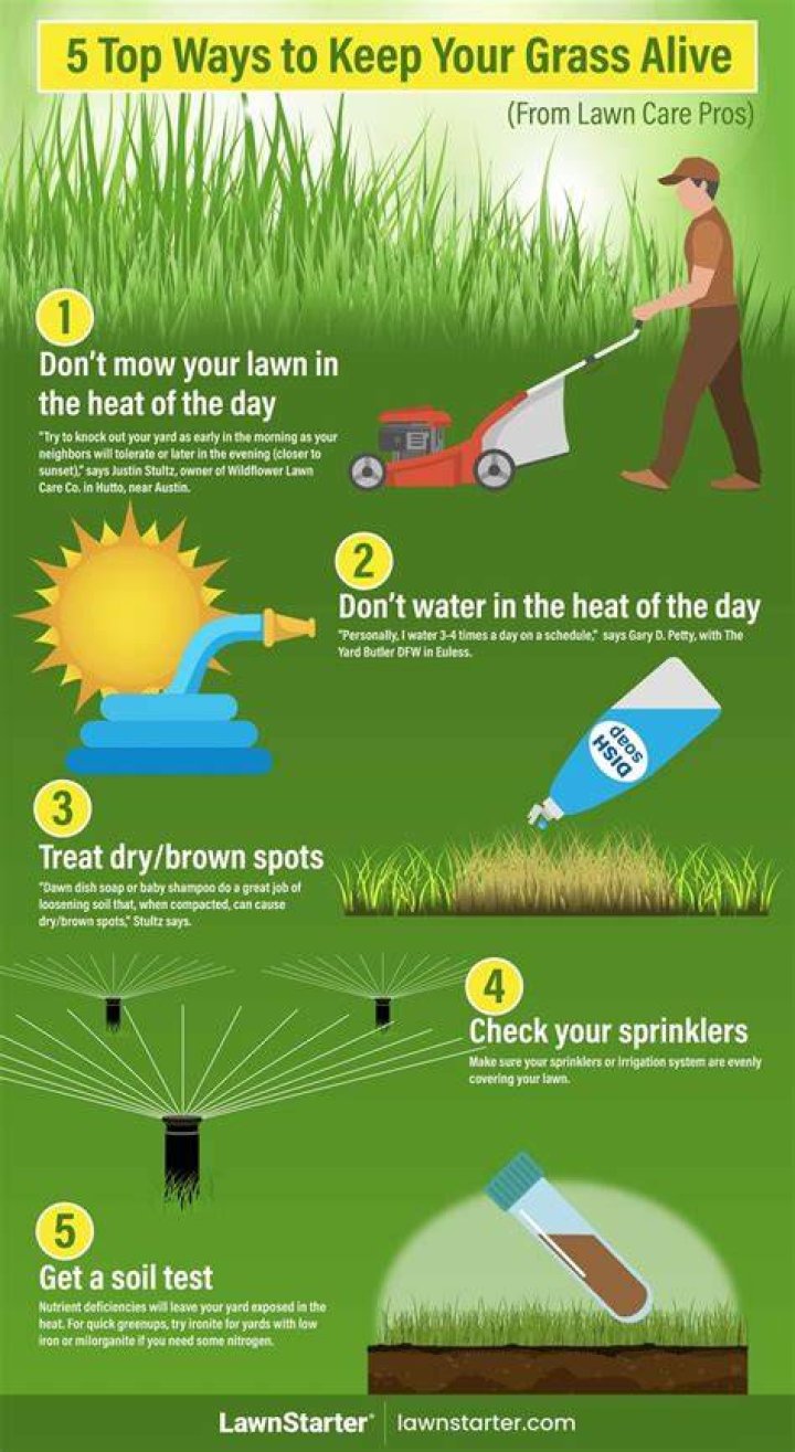 How do I make my grass really green?