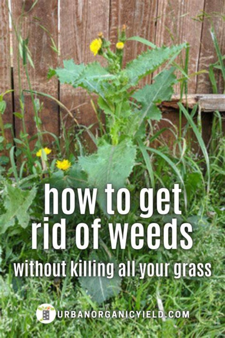 How do I permanently get rid of grass?