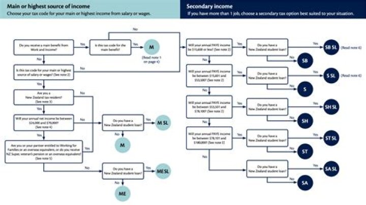 How do I print my IRD tax summary?