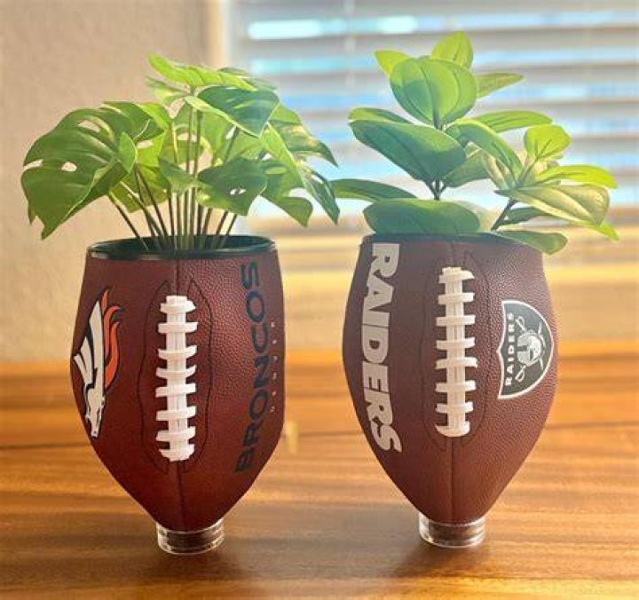 How do I protect my plants from footballs?