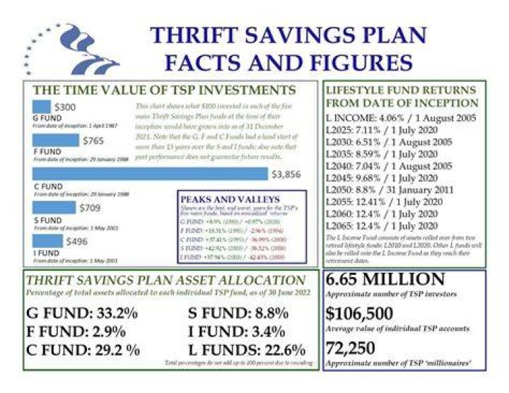 How do I read my Thrift Savings Plan?