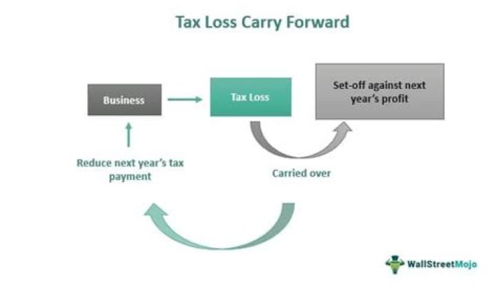 How do I report a tax loss carry forward?