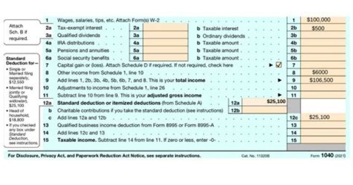How do I report miscellaneous income on 1040?