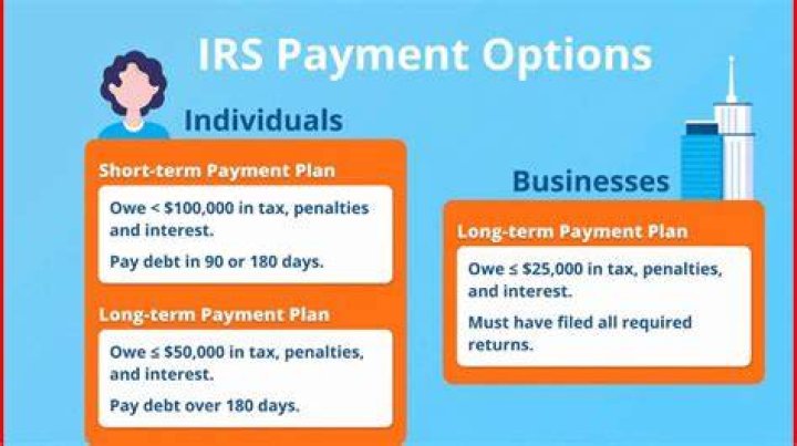 How do I set up a short-term payment plan with the IRS?