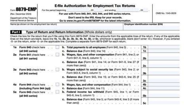 How do I set up an e-file with the IRS?