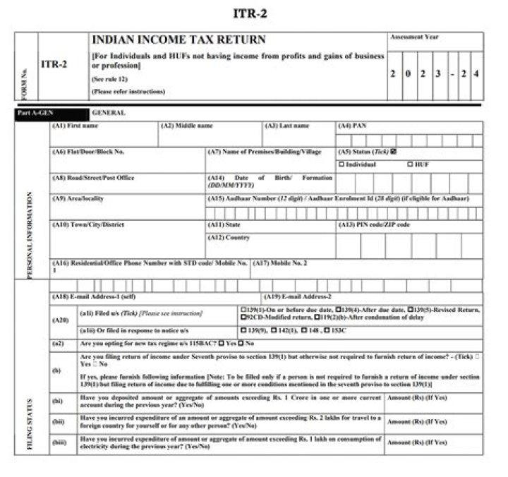 How do I show professional fees in ITR?