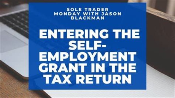 How do I show SEISS on my tax return?