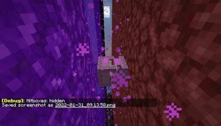 How do I stop shulkers from teleporting?