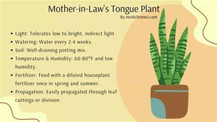 How do I take care of my mother-in-law?