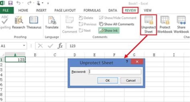 How do I unprotect a read only Excel sheet?