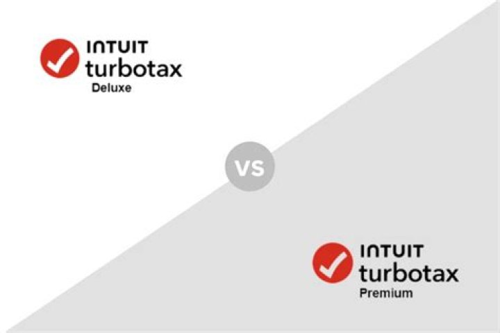 How do I use TurboTax without Deluxe?