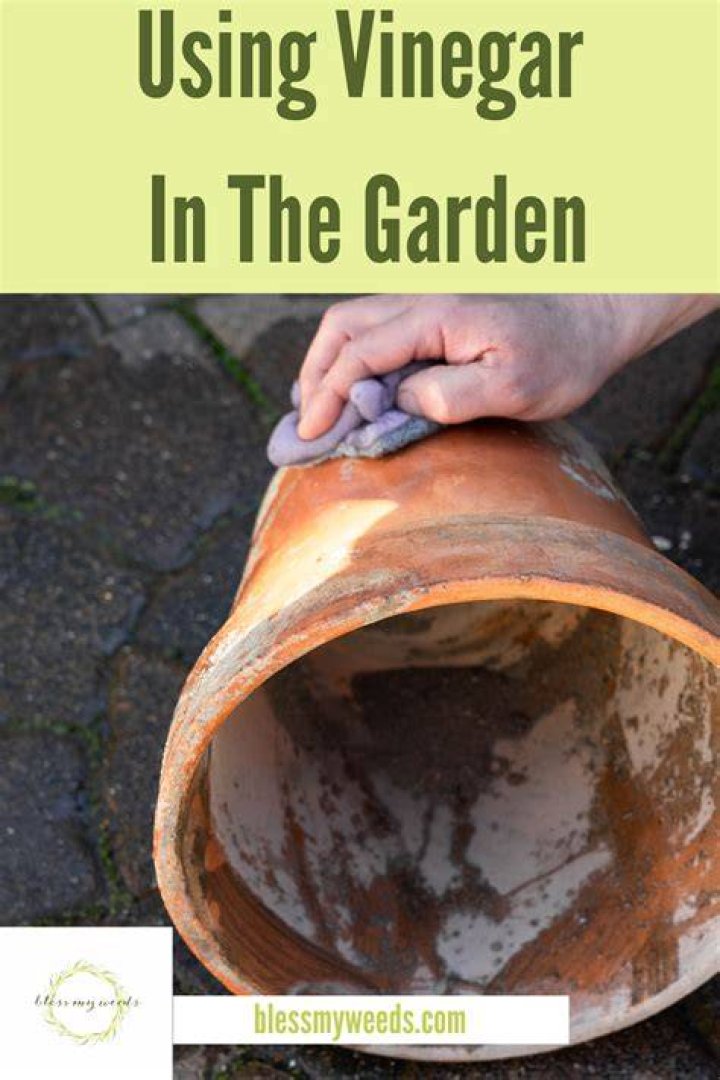 How do I use vinegar in my garden?