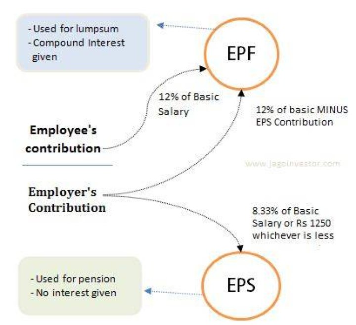 How do I withdraw my EPS contribution?