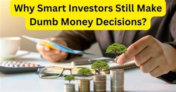 How do investors make decisions?