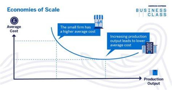How do large firms benefit from economies of scale?