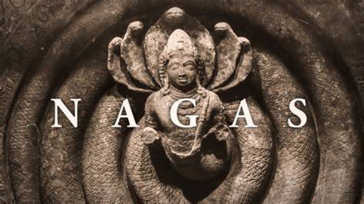 How do Nagas give birth?