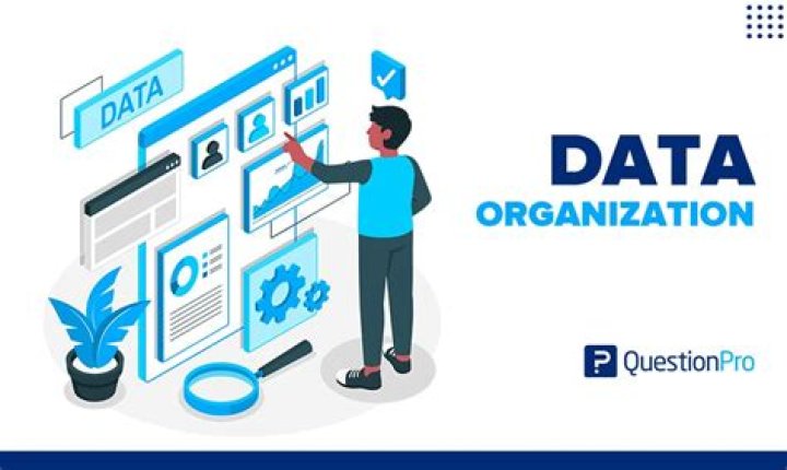 How do organisation use information?