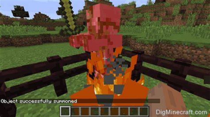How do pigs turn into Piglin?