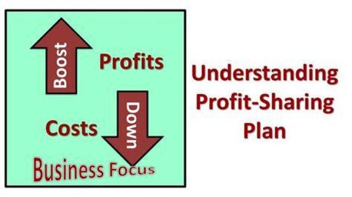 How do small businesses do profit-sharing?