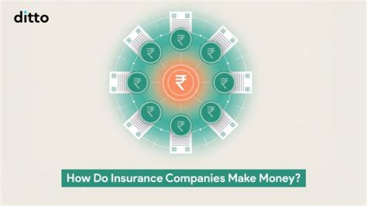 How do small insurance companies make money?