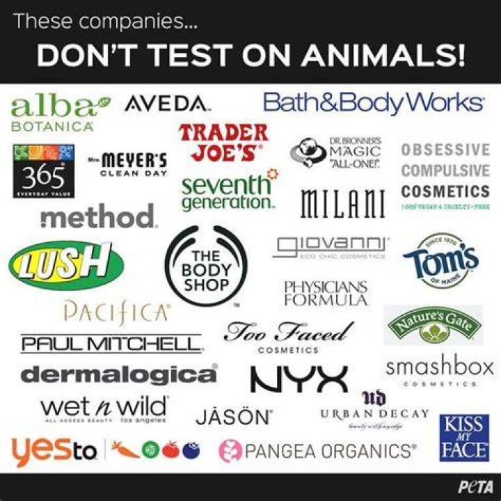 How do they test cosmetics if not on animals?