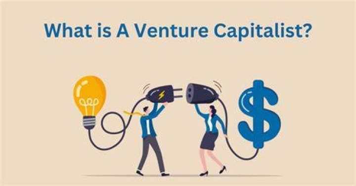 How do venture capitalists invest?