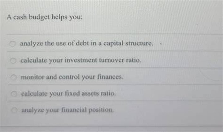 How do you analyze a capital budget?