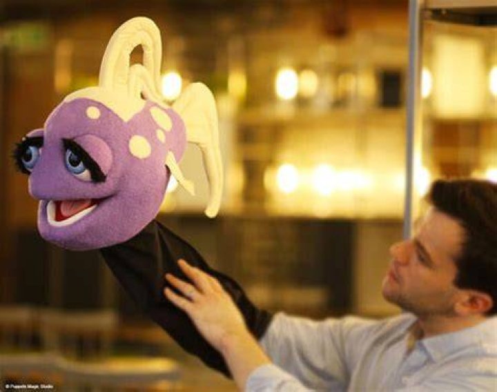 How do you become a professional puppet maker?
