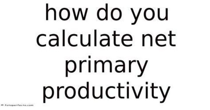 How do you calculate net price equivalent?