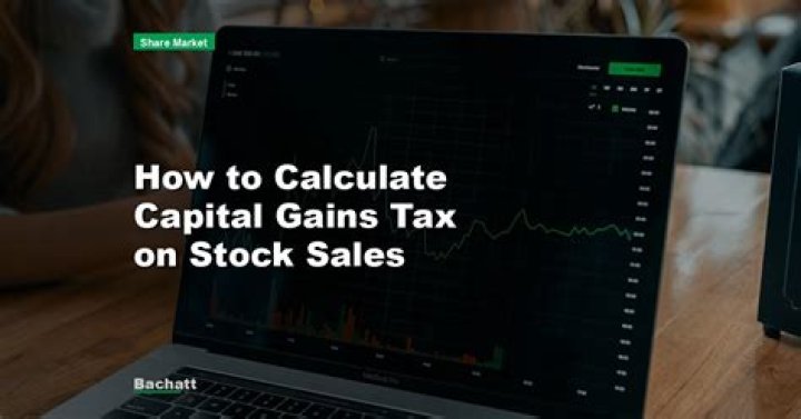 How do you calculate stock gains?