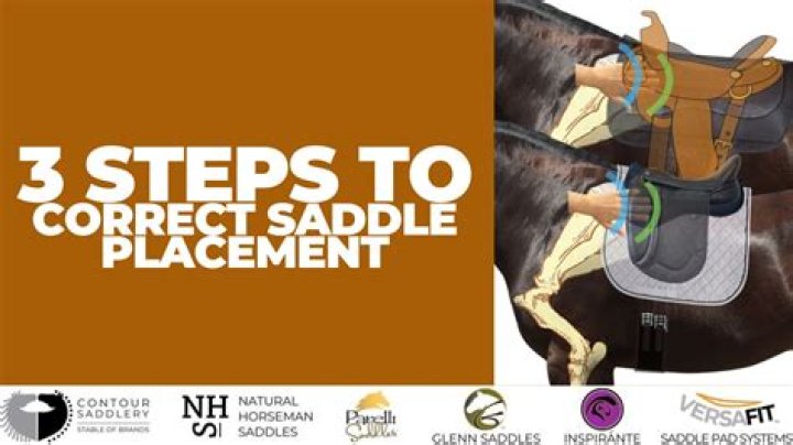 How do you condition a saddle?
