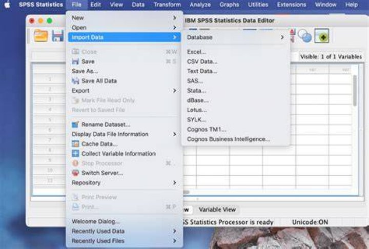 How do you create a data file in SPSS?