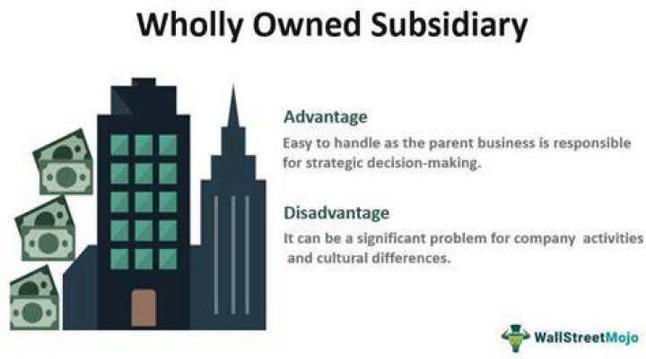 How do you create a wholly owned subsidiary?