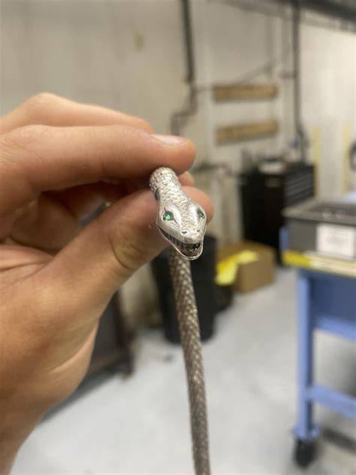 How do you deal with a coworker snake?